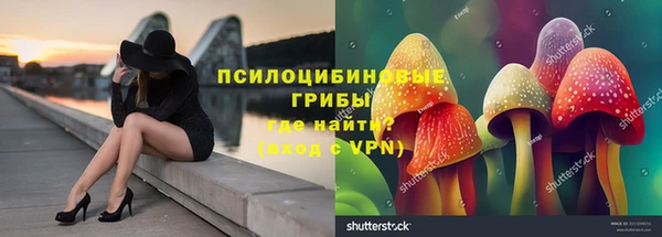 скорость Алзамай