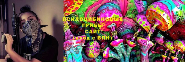 спайс Алексин