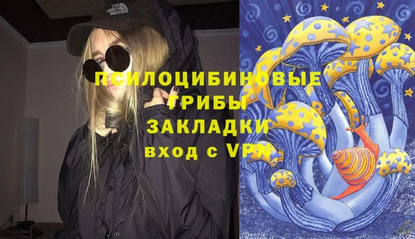 скорость Алзамай