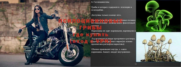 спайс Алексин